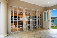 Domestic Security