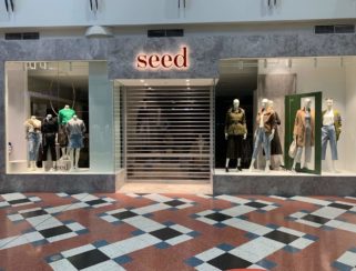 Commercial Clearspan Roller Shutter Seed Campbelltown Clear Roller Shutter Doors Australia - Shop Front Security Brisbane, sydney,melbourne