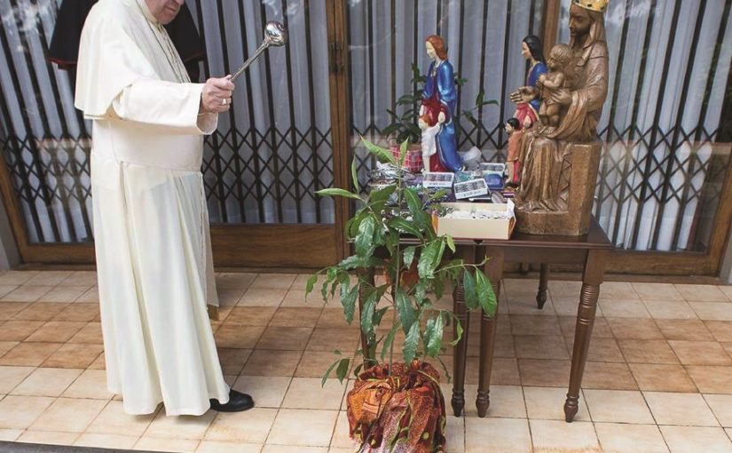 Trellis Security Doors Protect Pope in Kenya