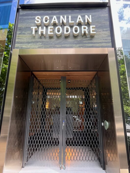 Expandable Security Barriers for Australian Luxury Fashion Brand